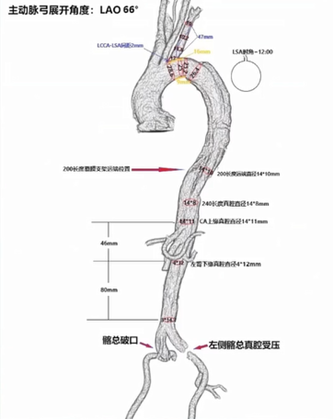 微信图片_20240527123928.png