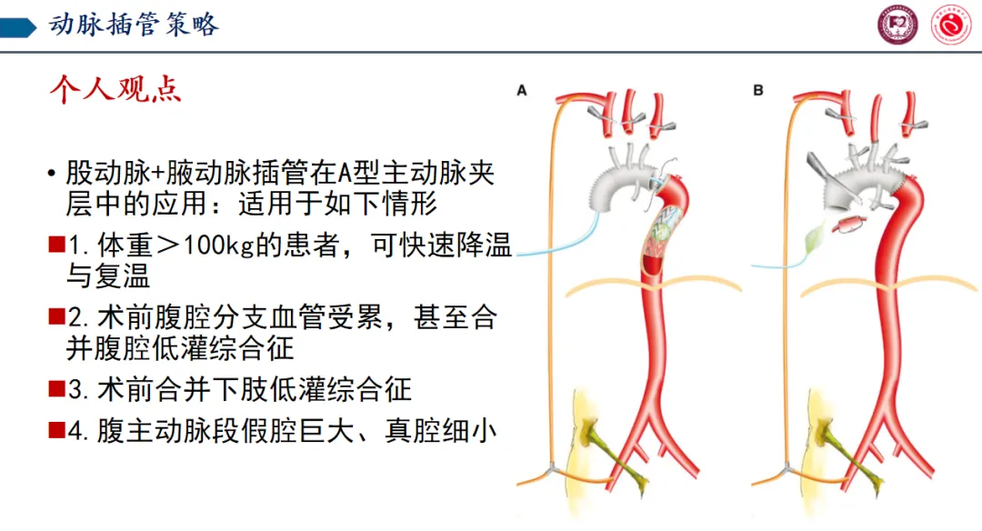 图片50.png