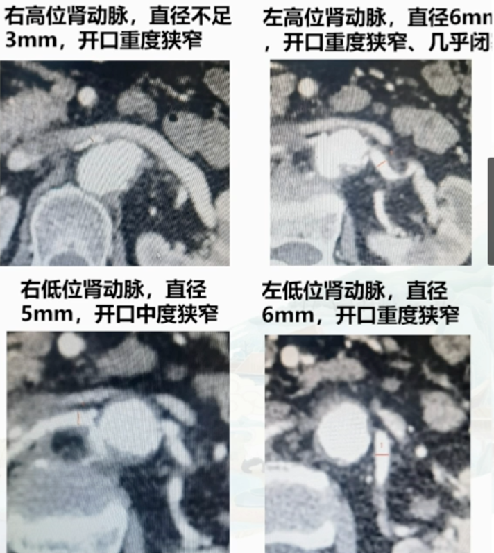 微信图片_20241009100850.png