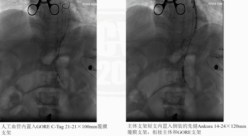 微信图片_20241014101521.png