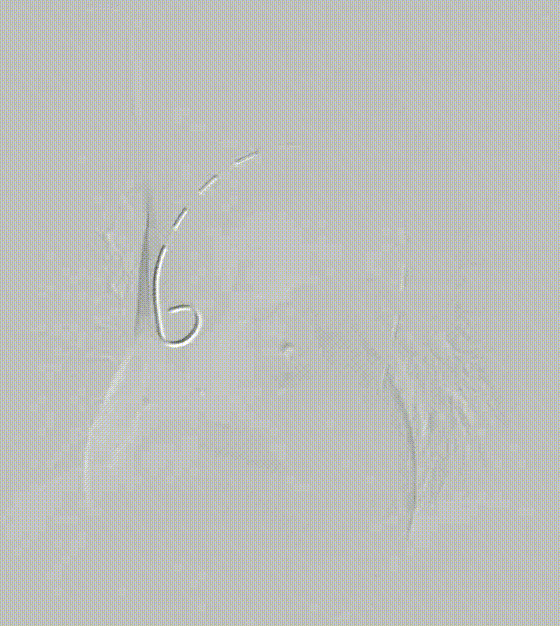 b9a58453db8d62c9beb10872215b9010.jpg