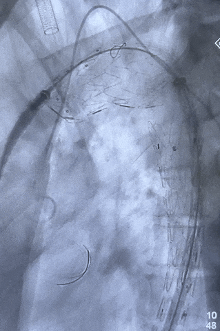 cef459cc1303fda10f418fd1a44f4bc2.jpg