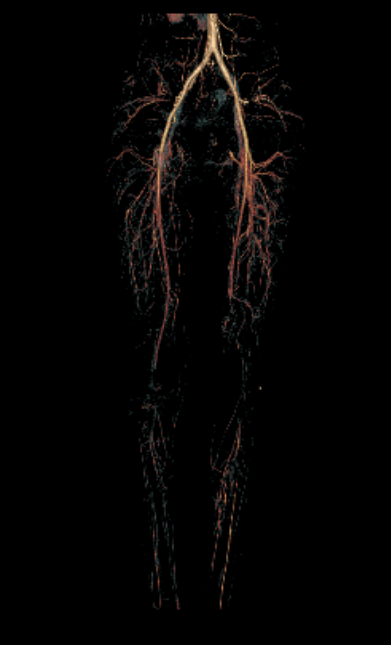 f7c36fb295e1753ad0237663a10ddbf7.png