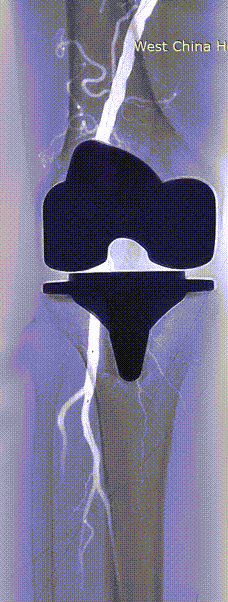 7.gif