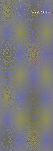 21.gif