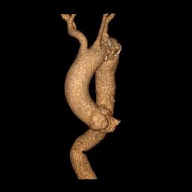 微信图片_20250321142308.gif