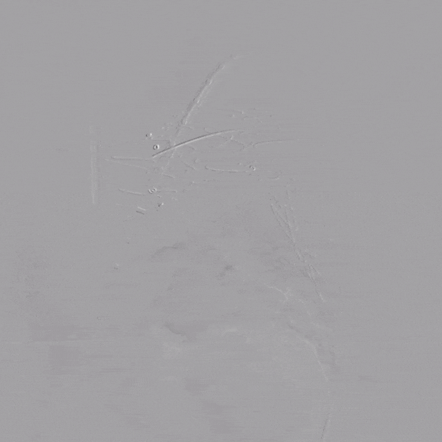 6.gif